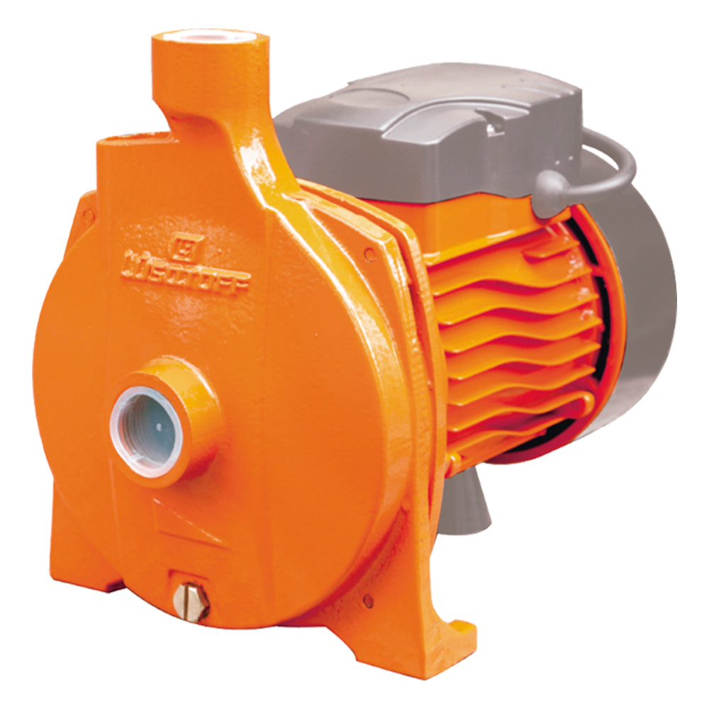 BOMBA CENTRIFUGA 1HP - LUSQTOFF
